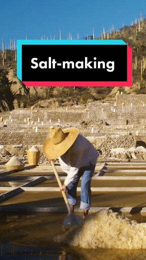 Where Does Salt Come From? Learn the Origins of Salt
