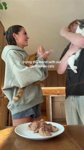 i swear we feed marvin idk why he acts this way | cat
