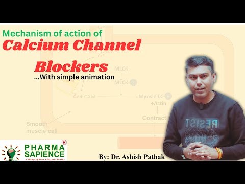 Calcium Channel Blockers (Mechanism of action)