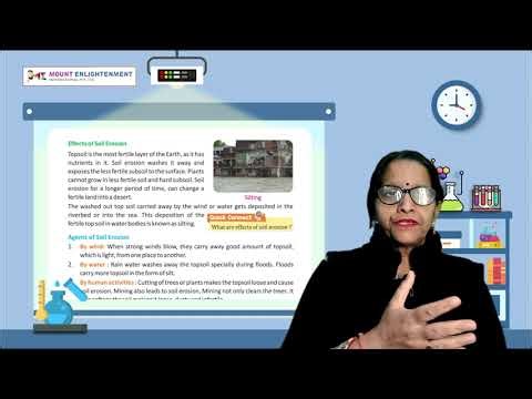 Class 5, Science, Chapter 7