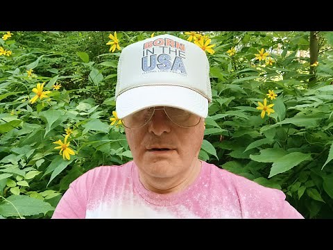 how to wire a porcelain light fixture with 2 wires and with 4 wires