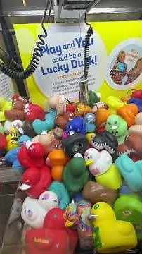 I Won Ducks From The LUCKY DUCK CLAW MACHINE!
