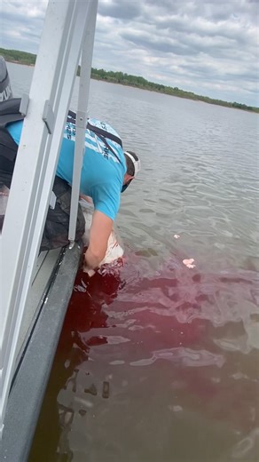 31K views · 235 reactions | Checking for Paddlefish CAVIAR | Keystone Lake Paddlefish Charters | Facebook
