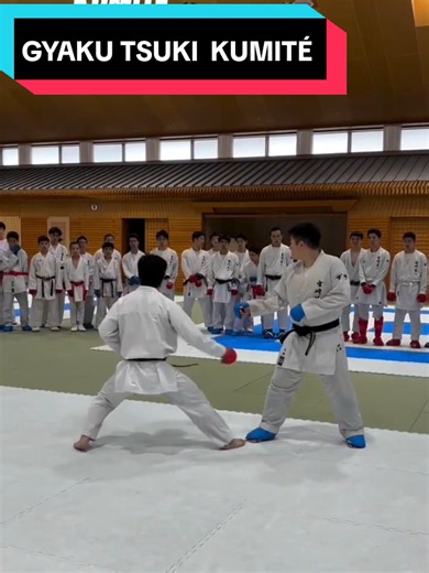Gyaku Tsuki no Kumité: Técnica de Karatê Shotokan JKS