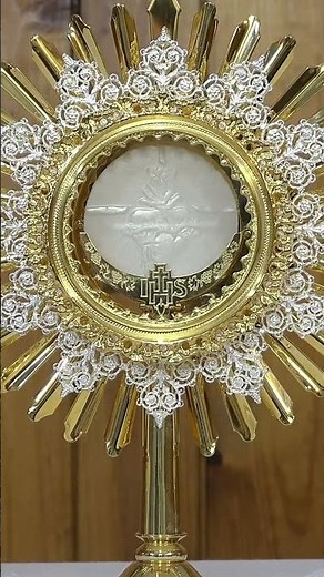 Prayer before Jesus in the Eucharist! 🙏🙏🙏 Visit to the Blessed Sacrament