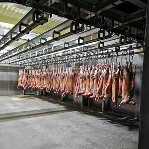 Professional Manufacturer Complete Sheep Slaughter Line Dehiding Machine Sheep Slaughtering Equipment