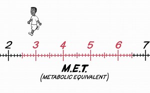 The Importance of Intensity in Physical Activity 运动强度的重要性