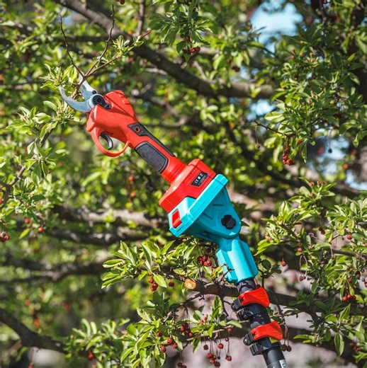 Tree pruning 101: Proper tools and easy techniques