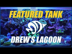 Drew’s Lagoon is an AMAZING AIO Nano Reef Aquarium - NEW FEATURED TANK!