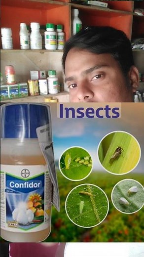 Imidaclopide insecticide|Confidor insecticide|Bayer Confidor Imidacloprid 17.1%#wbagrifarming#shorts