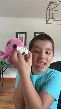 My Ty Beanie Boos Collection meet Sheldon - Episode 8