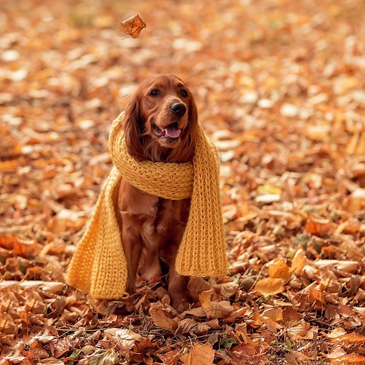 Carve Out Time for These October Holidays Beyond Halloween