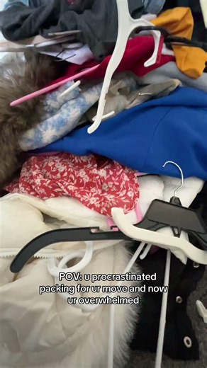 get ready for a new room tour 🤭 #moving #packing #procrastination