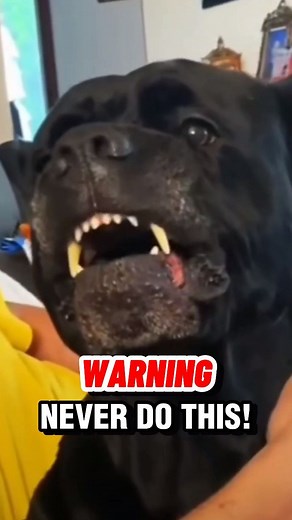 Jason Corey | What are your thoughts on this behavior? Other than these people thinking this is funny, which it is not what is he doing wrong here? He... | Instagram