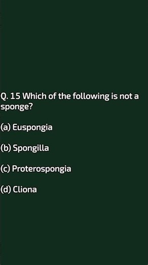 Botany/Zoology/ Porifera Classification #uppscltgrade #biology #zoology #porifera
