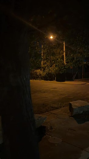 I miss the old days nightcore streetlight trees