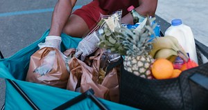 Food Resilience Toolkit – FoodWise