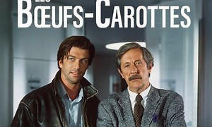 Les Bœuf-carottes (Série) en streaming | TF1