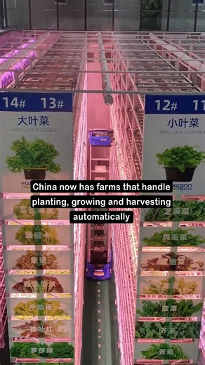 AI | Tech | Business 👇🏻 on Instagram: "🤖 Farm of the Future: Plants, Grows, Harvests Itself in China This isn't science fiction; it's a fully automated farm in China that handles planting, growing, and harvesting without human intervention. Robots seed fields with precision, drones monitor crops in real time, and autonomous harvesters collect yields at peak ripeness. Advanced sensors track soil, water, and nutrients, optimizing every stage for maximum efficiency. AI-driven systems predict wea