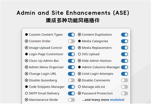 一个顶十个！独立站多功能集成插件Admin and Site Enhancements（ASE）覆盖自定义内容、代码片段管理、登录自定义等诸多功能