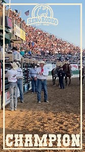 Cole Reiner split top honors with Jayco Roper in the bareback riding at the Reno Rodeo with 251 points on three head. | PRCA ProRodeo