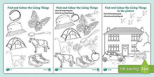 Find and Colour the Living and Non-Living Things Worksheet