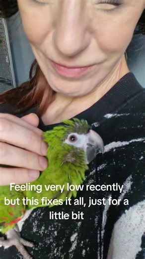 So lucky to have such a strong bond so soon. He will always have everything he needs. #birdsoftiktok #pets #parrot #feelingbetter #everything
