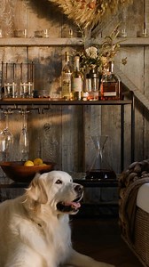 The season of gathering is right around the corner. From artful dinnerware to extendable tables made for lingering, set the scene for a season full of connection and celebration. Explore our Thanksgiving Shop: https://bit.ly/4lxtYbg | Pottery Barn