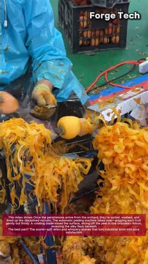 Satisfying Automatic Persimmon Peeling Machine in Action: Fruit Processing Factory