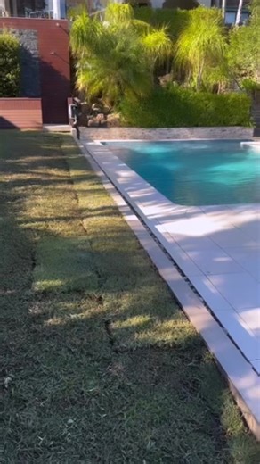 1.3K views | Check out this absolute monster set of @ekodeck_ steps completed by @saw_landscapes, using the Designer Series for a professional finish! @bunnings | #ProudChippy | #CarpentryAustralia | #Decking | #Renovation | #Ekodeck | #Deck | #Reels | #CompositeDeck | #Carpentry | #Chippy | #Carpenter | #Reno | Carpentry Australia | Facebook