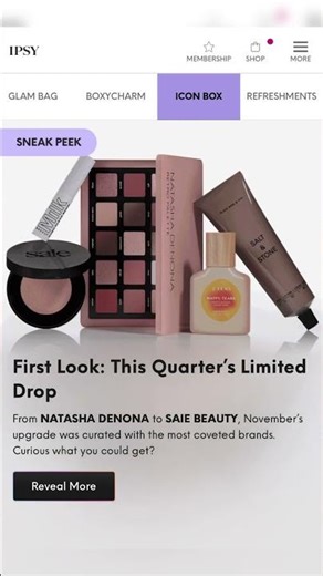 *FIRST SPOILERS* NOVEMBER 2025 ICON BOX • Sneak Peeks | No Curator? 🤔