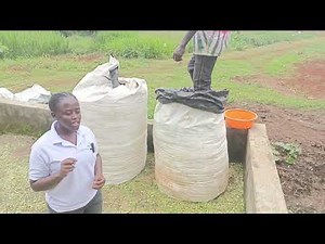 Making High quality Silage using silage bags