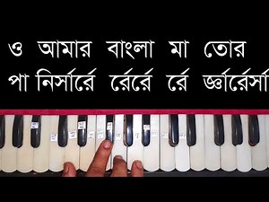 O Amar Bangla Ma Tor Harmonium Lesson