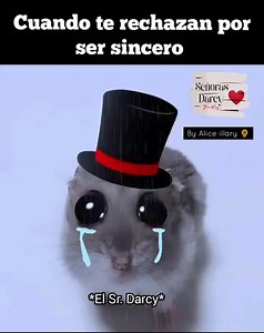 Nuestro Fitzwilliam Darcy de la serie de Orgullo y Prejuicio 1995. 💖 Video dedicado para mi querida amiga Rox Firth. 💐💐💐 By Alice 🌻 #mrdarcy #orgulloyprejuicio #janeausten #colinfirth | Señoras Darcy