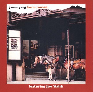 James Gang - Live In Concert