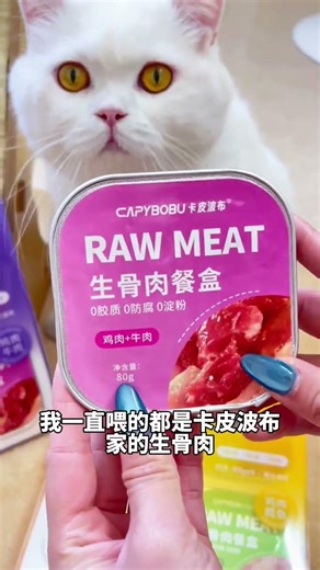 Feeding Raw Meat to Kitten: The Ultimate Guide
