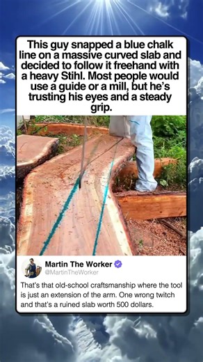 STIHL POWER MEETS PURE SKILL