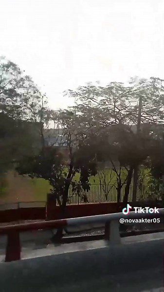 Emotional Sed Video Highlights from Bangladesh