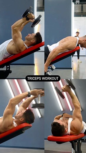 FloRyan | Triceps exercises library! Here is a video showing the various tricep exercises that you can add to your routine. 1️⃣ DB Skullcrushers... | Instagram