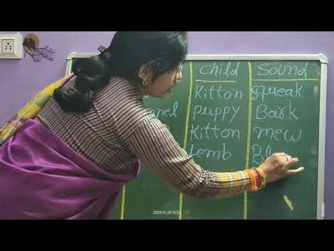 Animals ke sound homes and child....