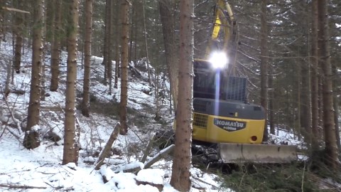 Super Strong Machines Tackling the Ultimate Forest Harvesting Task