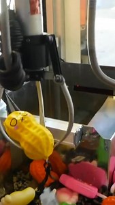 Claw Machine Disaster 😳 | Carson Claws