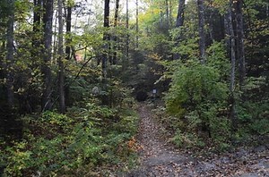 Blood Mountain Wilderness: Slaughter Creek Loop and Blood Mountain via Freeman Loop, Suches, Georgia