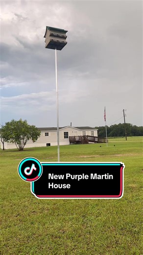 Purple Martin House Installed and Ready for Residents
