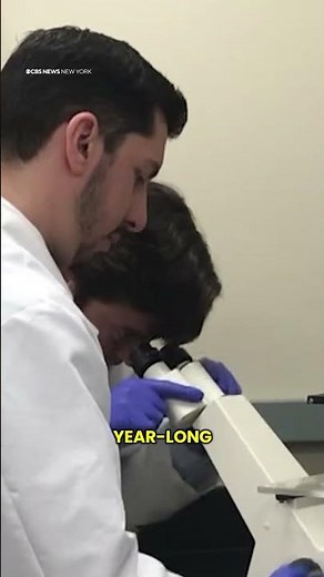 Long Island man survives extremely rare, tick-borne Bourbon virus