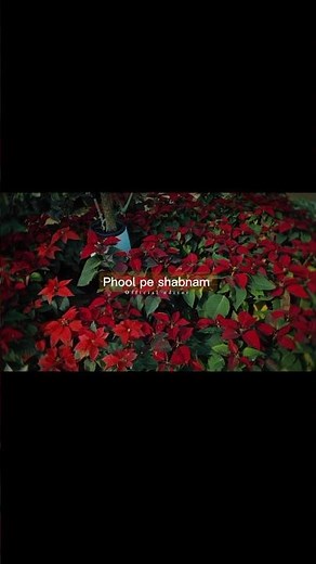 Tere naina ~Shafqat Amanat Ali 👀💗| lyrics #love#aesthetic#viralvideo#music#song#lyrics