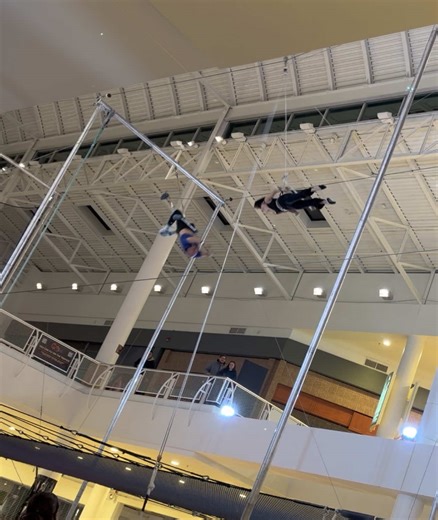 Mastering the Art of Trapeze Catches