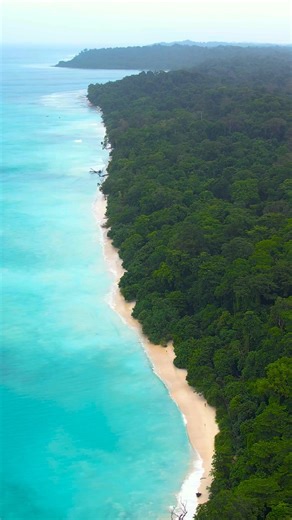 Most beautiful and cleanest beach in India. #andaman #kalapatharbeach