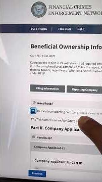 How to properly fill out BOI report for your LLC in 2024