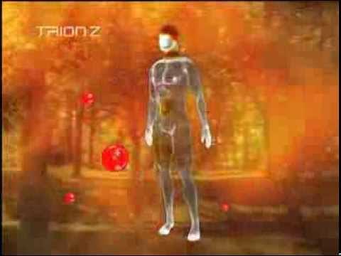 The Effects of Positive & Negative Ions